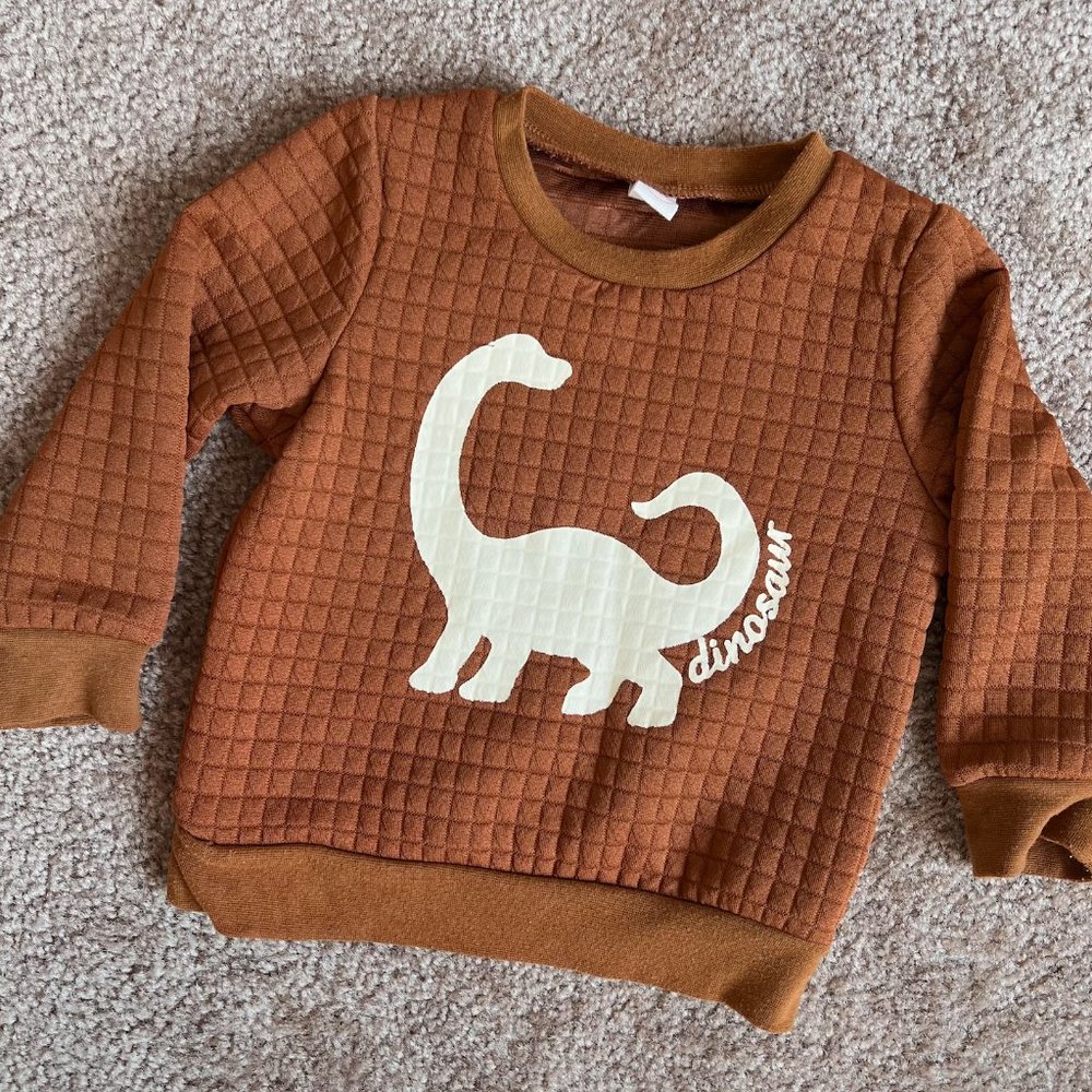 MiniOlie Brown Quilted Dinosaur Sweatshirt